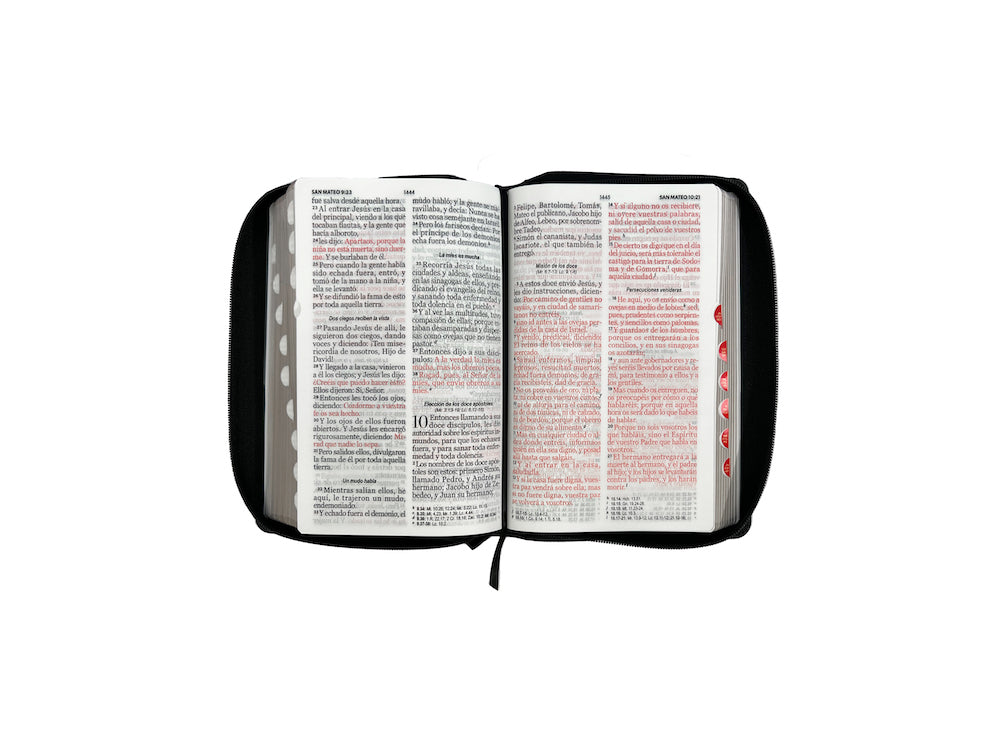 Biblia gigante Leon