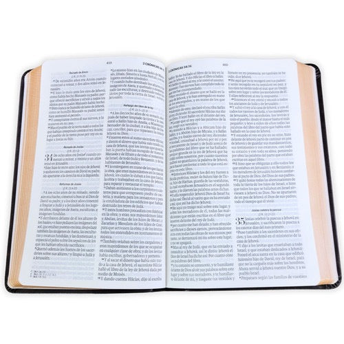 Biblia Letra Grande.Edición Bicolor Café
