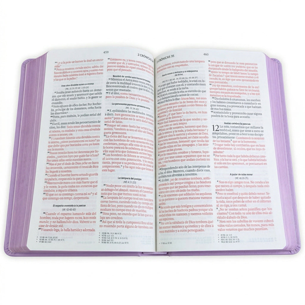 Biblia RVR60 Letra Grande Edición Púrpura