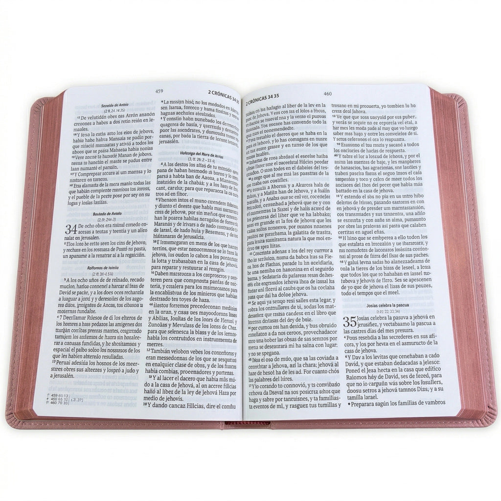 Biblia RVR60 Letra Grande