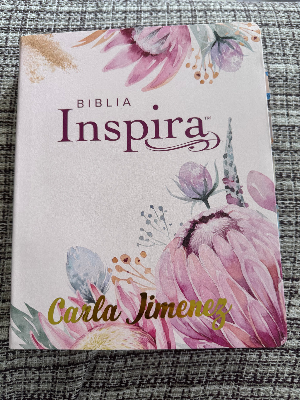 Biblia inspira letra grande NTV rosa