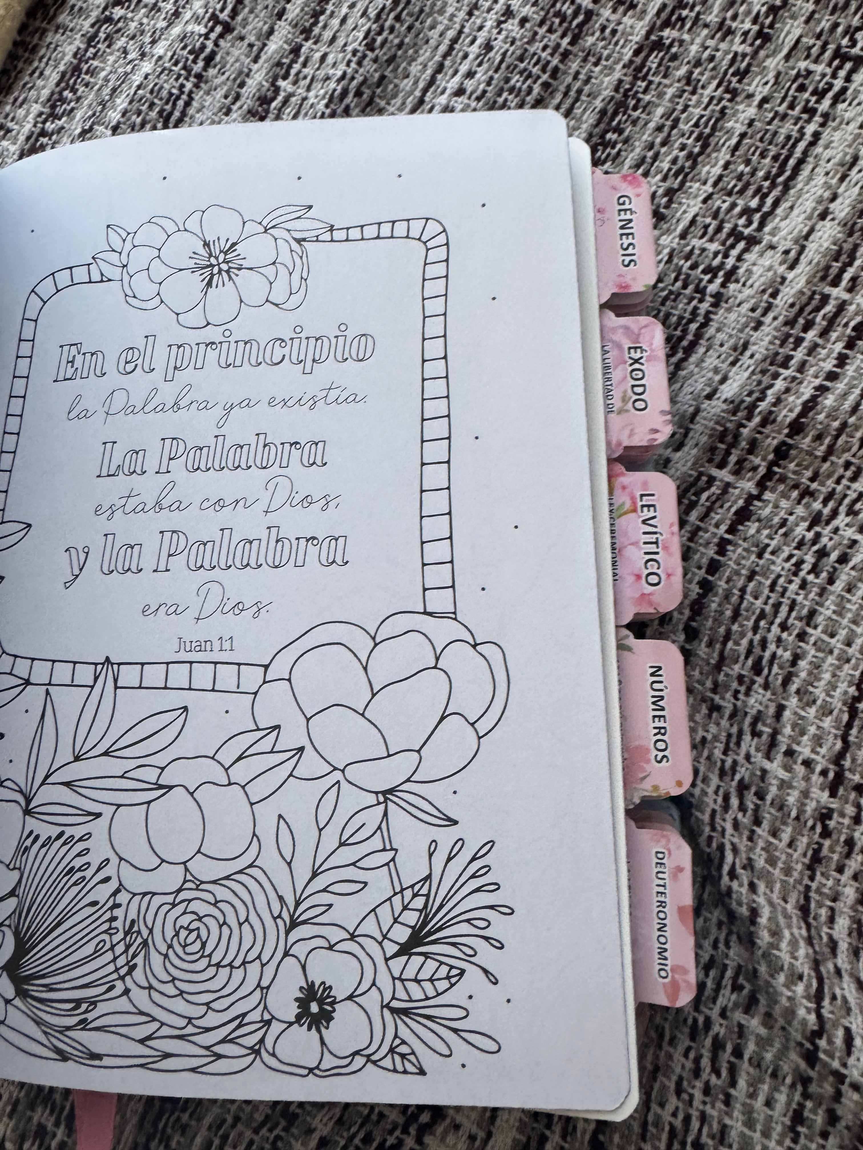 Ejemplos de Biblias Personalizdas