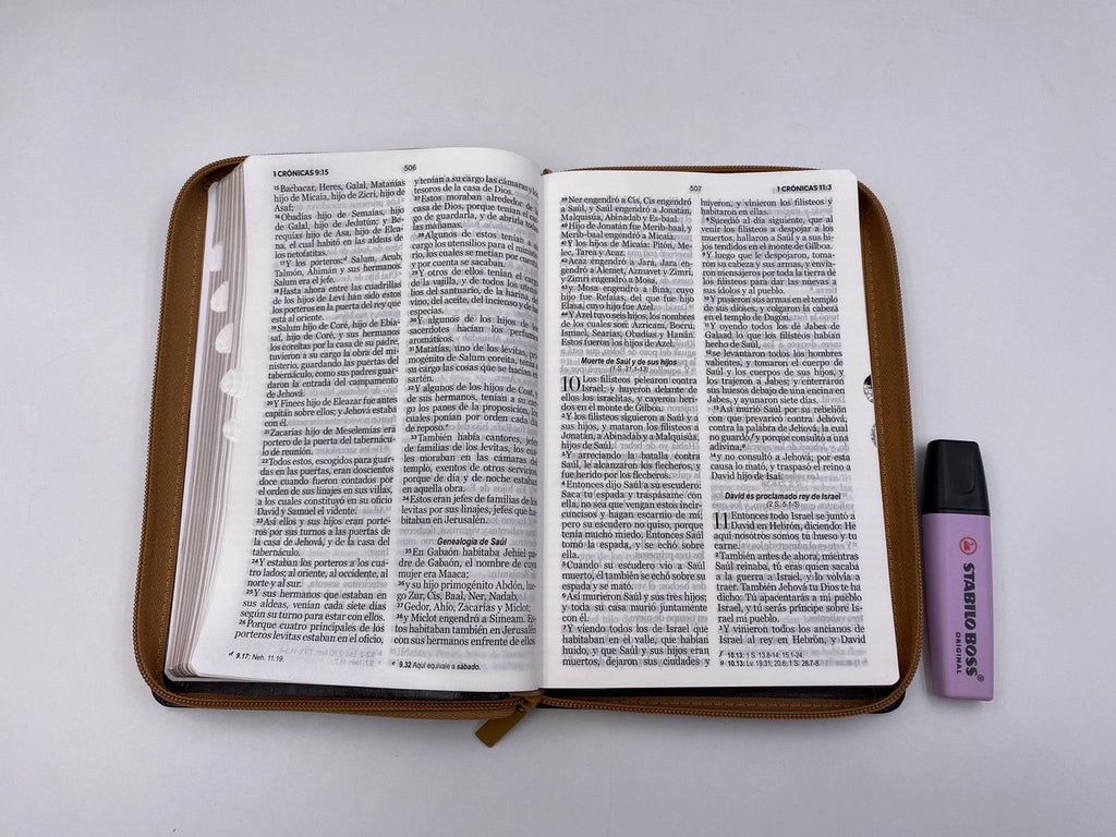 Biblia RVR60 Tamaño Manual Letra Grande café