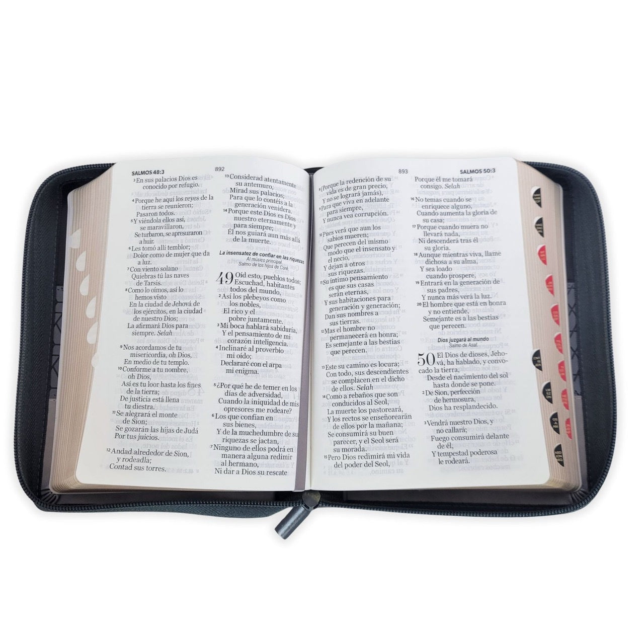 Biblia RVR60 portátil letra Grande 11 puntos Tricolor Negro cierre indice