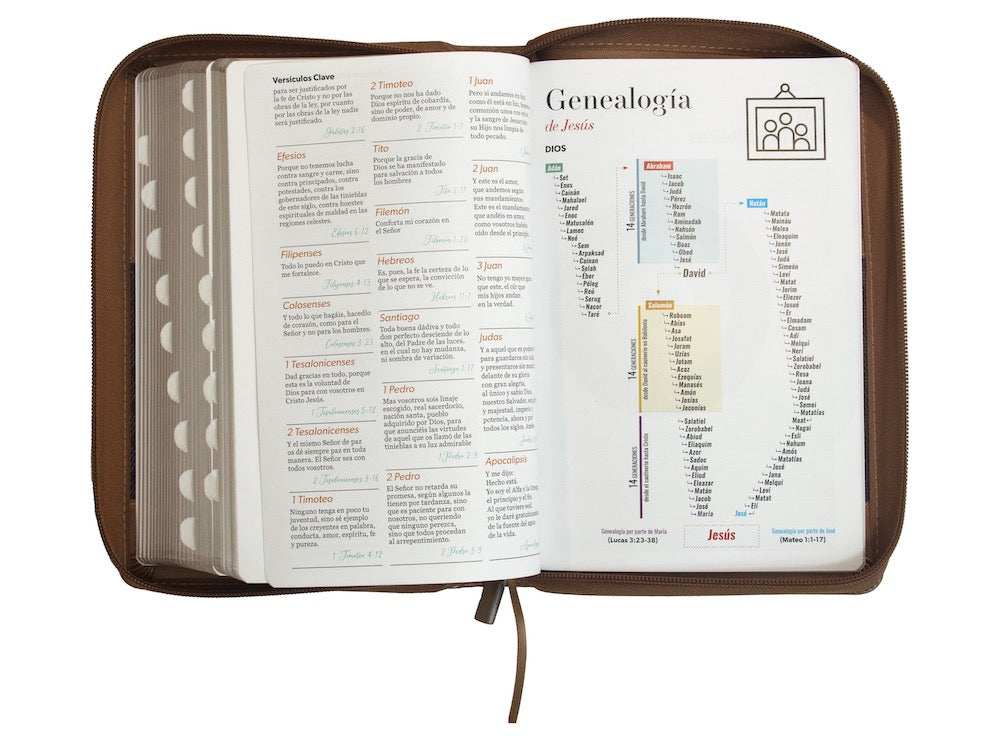 Biblia RVR60 Tamaño Manual Letra Grande café