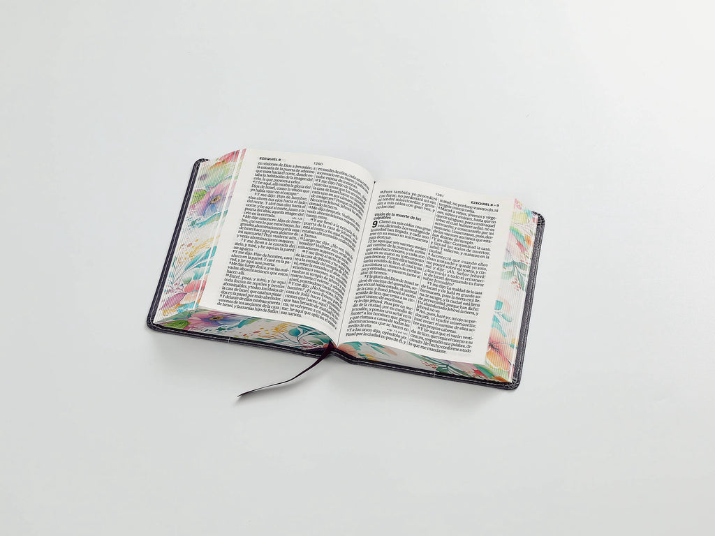 Biblia RVR60 Tamaño compacto Letra Grande 12 puntos