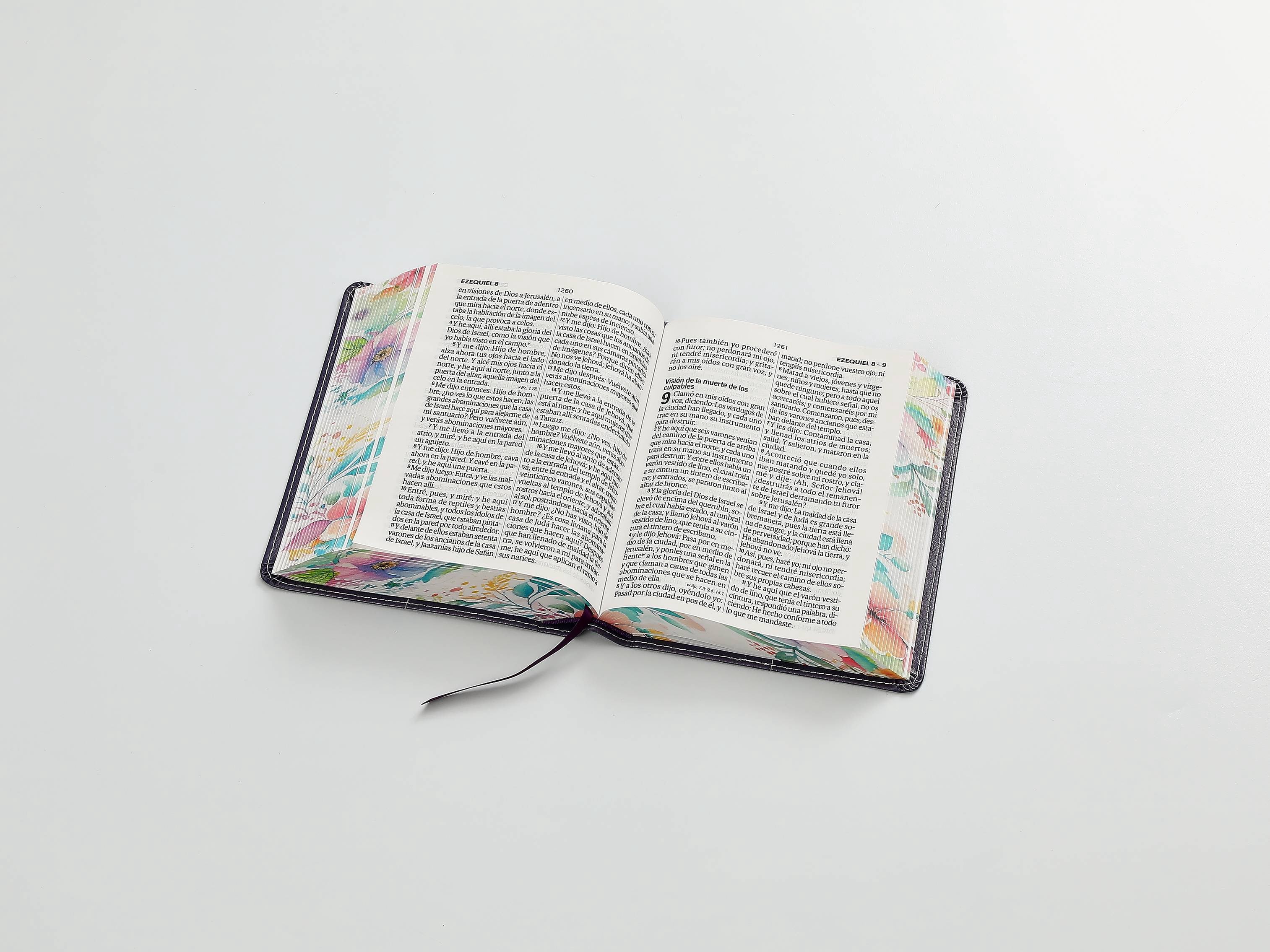 Biblia RVR60 Tamaño compacto Letra Grande 12 puntos