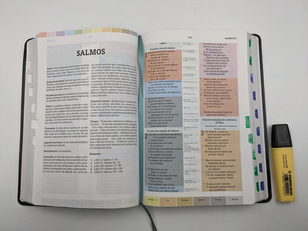 Biblia RVR 1960 de Estudio Arco Iris Multicolor Símil Piel Negro con Índice