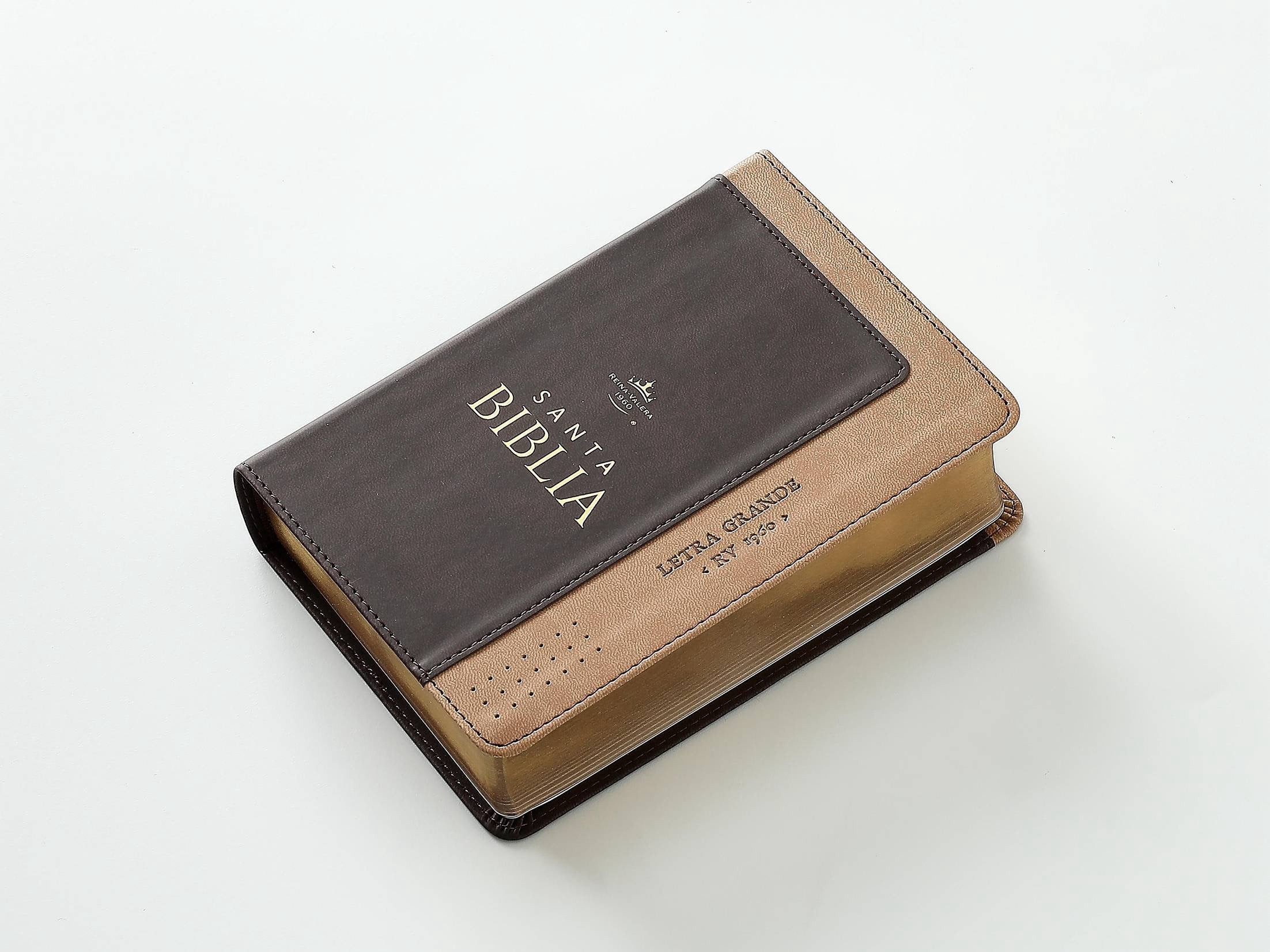 Biblia RVR60 Tamaño compacto Letra Grande
