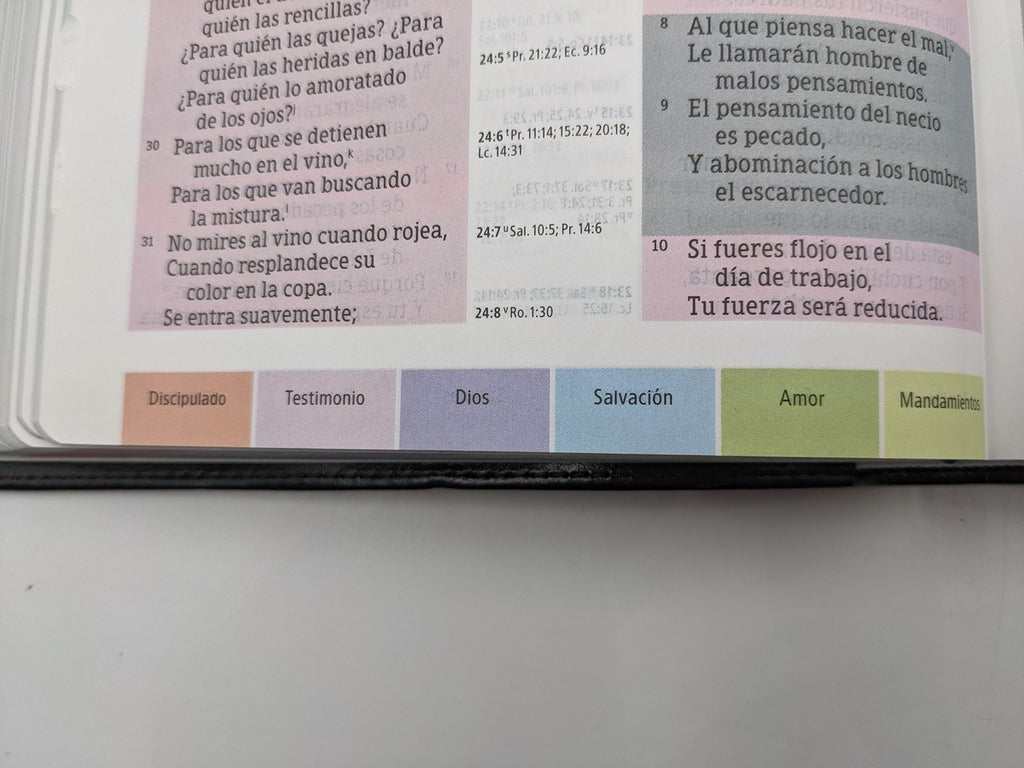 Biblia RVR 1960 de Estudio Arco Iris Multicolor Símil Piel Negro con Índice