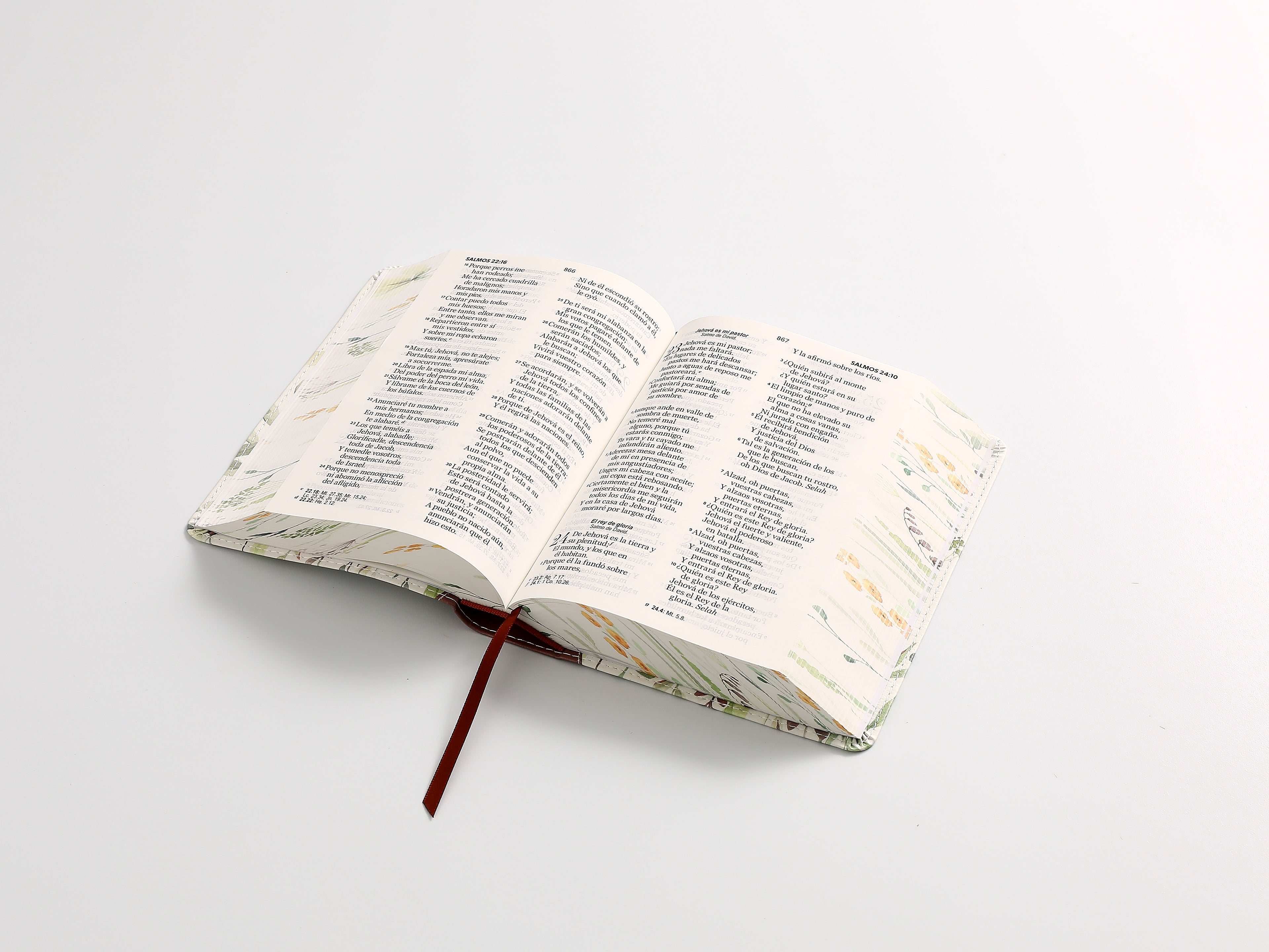 Biblia RVR60 portátil Letra Grande 11 puntos marrón