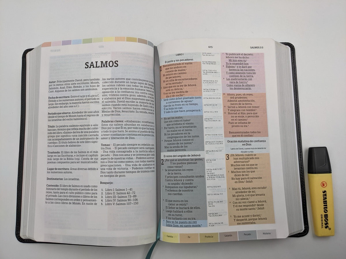 Biblia RVR 1960 de Estudio Arco Iris Negro Símil Piel