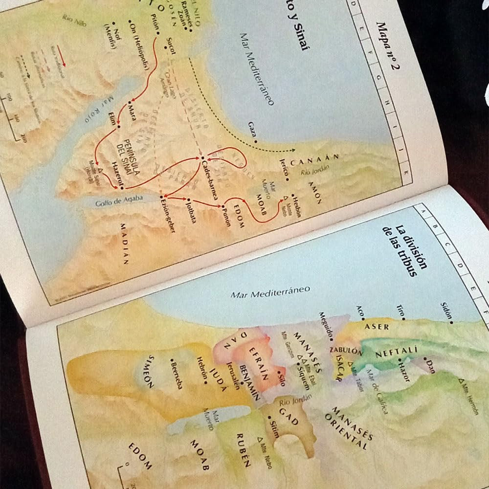 Biblia RVR 1960 de Estudio Explicada Piel Azul con Índice