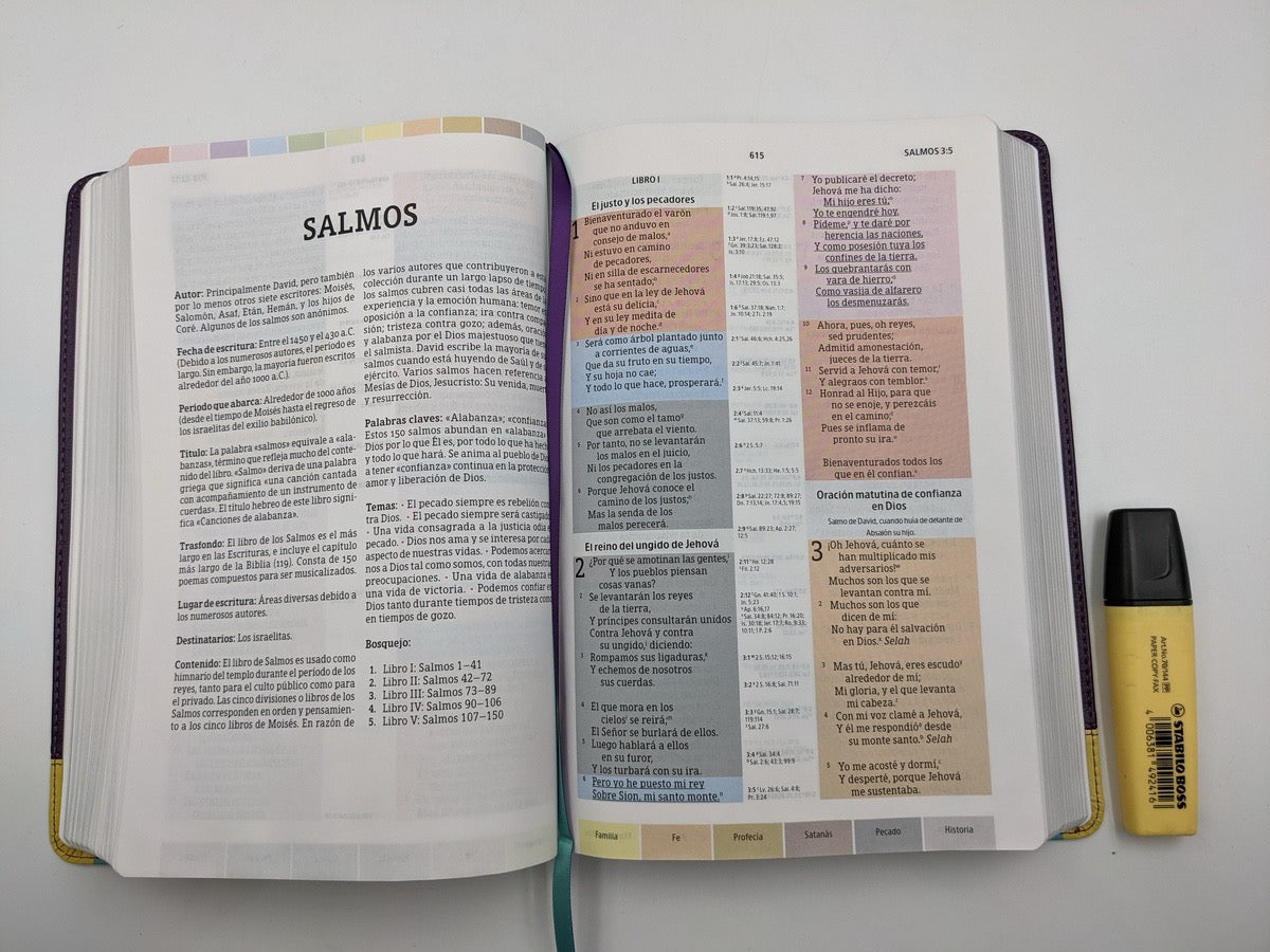 Biblia RVR 1960 de Estudio Arco Iris Símil Piel Morado