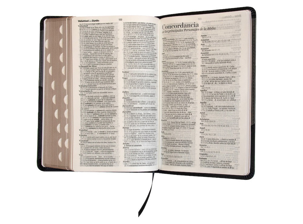 Biblia RVR60 Tamaño Manual Letra Grande negro