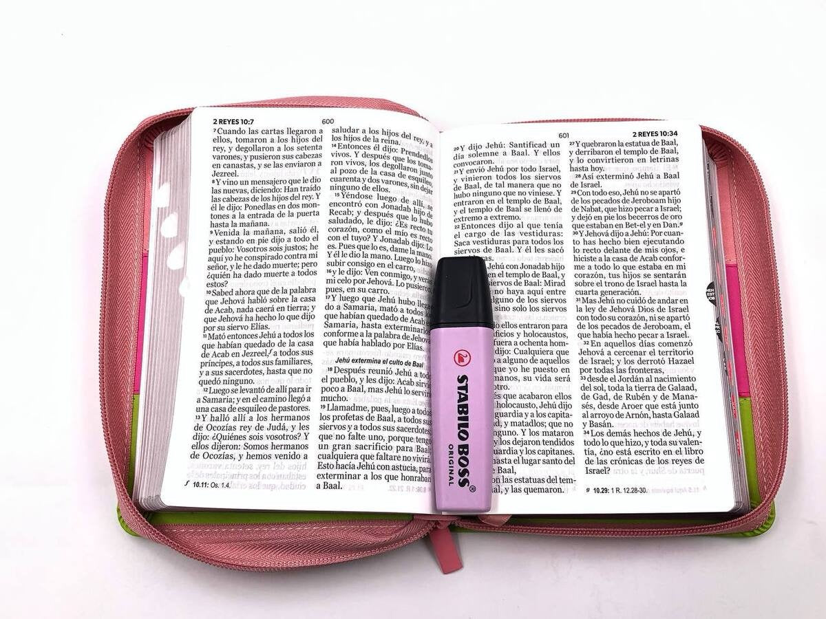 Biblia RVR60 portátil Letra Grande 11 puntos Tricolor Rosa