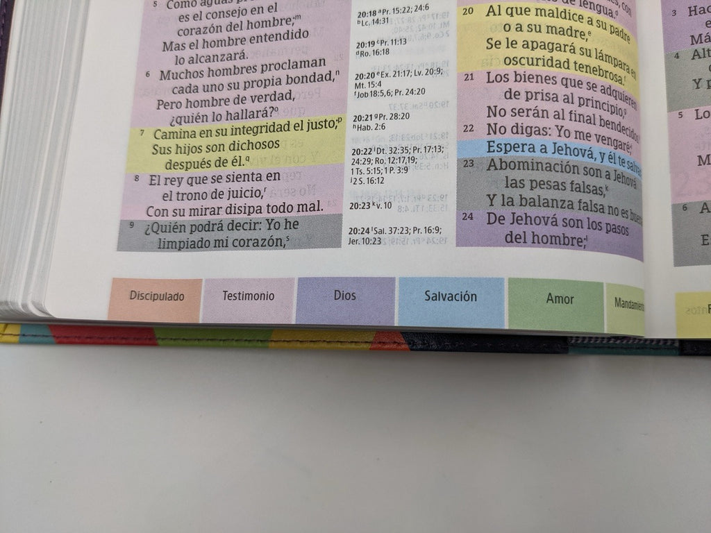 Biblia RVR 1960 de Estudio Arco Iris Símil Piel Morado