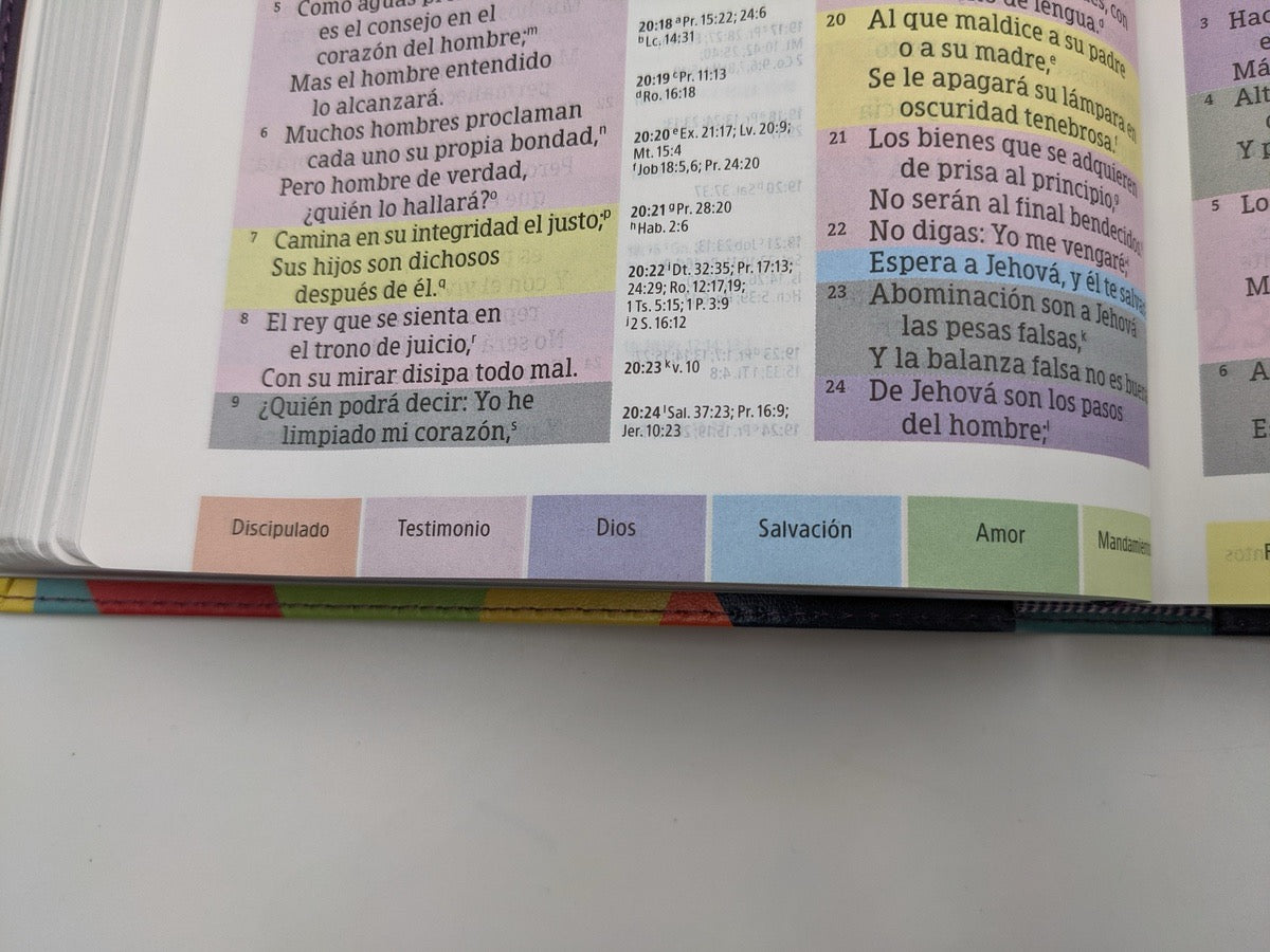 Biblia RVR 1960 de Estudio Arco Iris Símil Piel Morado
