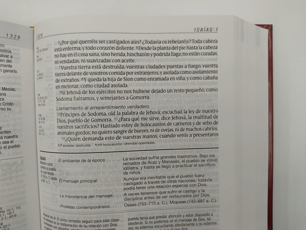 Biblia RVR 1960 de Estudio Diario Vivir Letra Grande Vino Tinto Tapa Dura