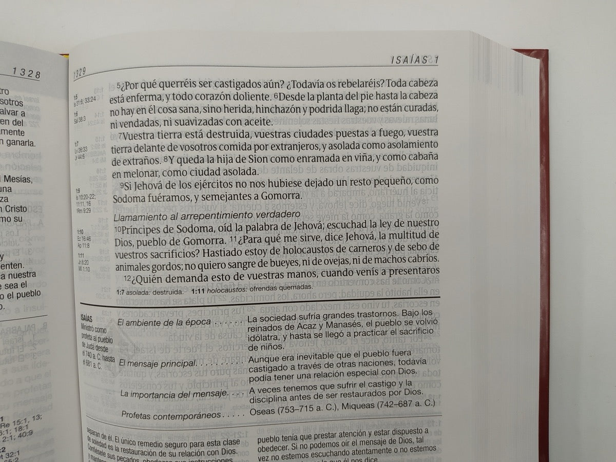 Biblia RVR 1960 de Estudio Diario Vivir Letra Grande Vino Tinto Tapa Dura