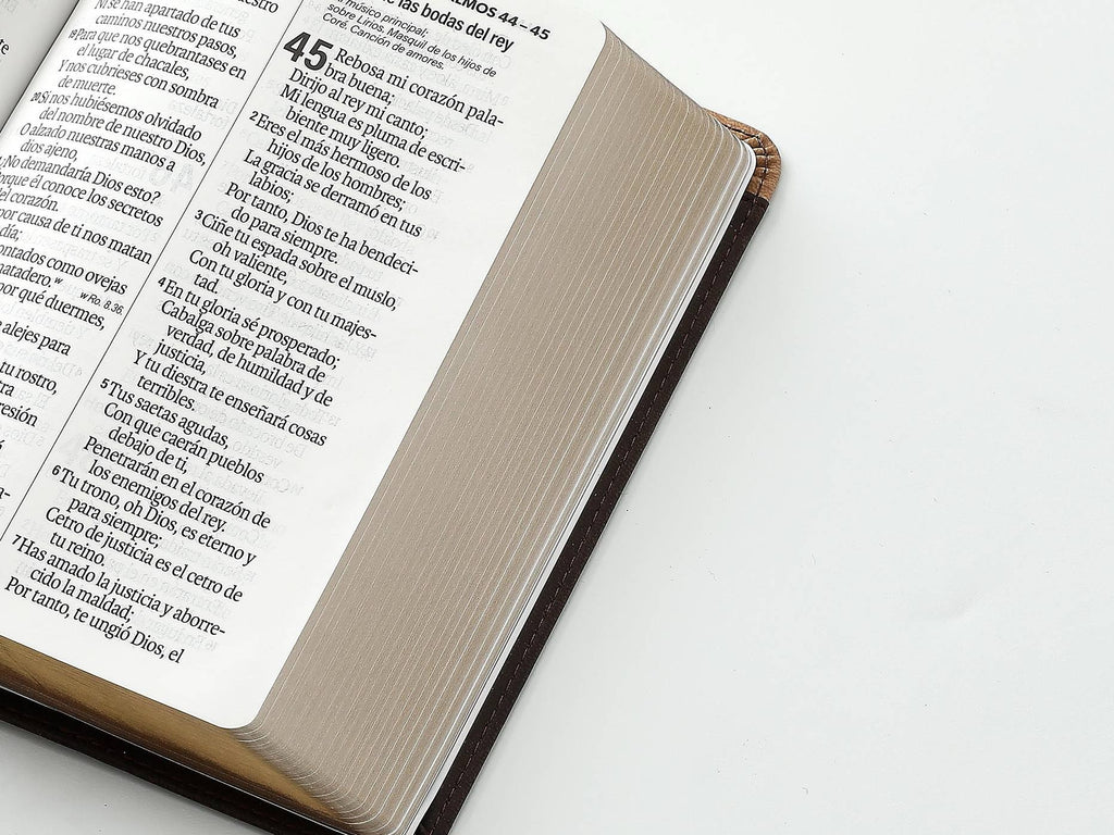 Biblia RVR60 Tamaño compacto Letra Grande
