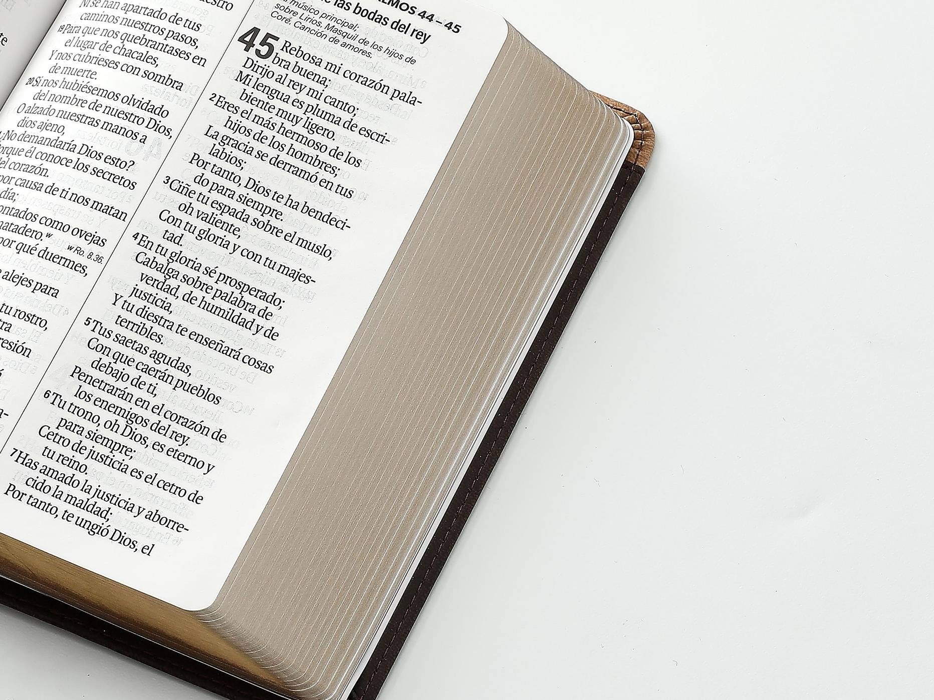 Biblia RVR60 Tamaño compacto Letra Grande