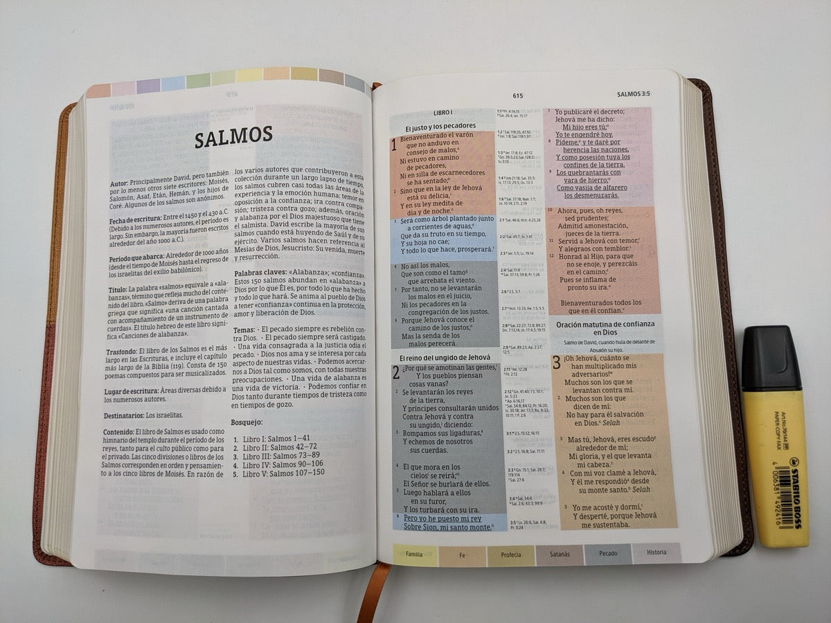 Biblia RVR 1960 de Estudio Arco Iris Símil Piel Cocoa