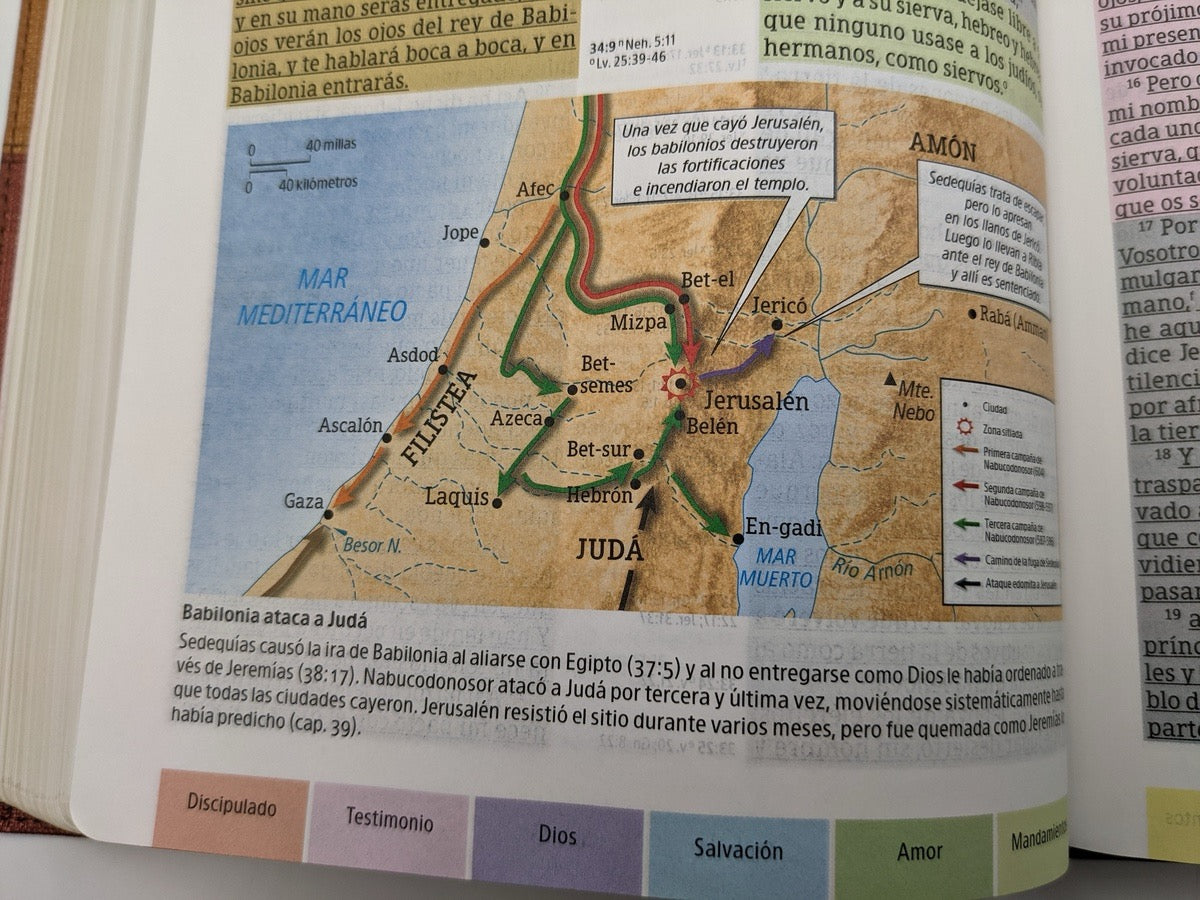 Biblia RVR 1960 de Estudio Arco Iris Símil Piel Cocoa