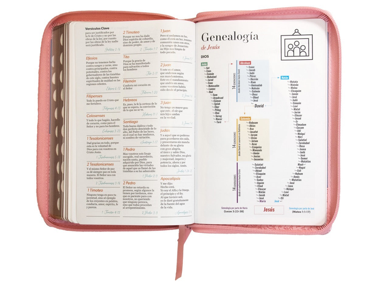 Biblia RVR60 Tamaño Manual Letra Grande rosa