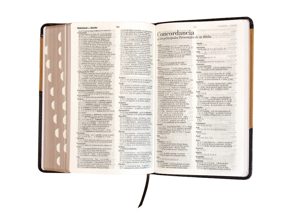 Biblia RVR60 Tamaño Manual Letra Grande café