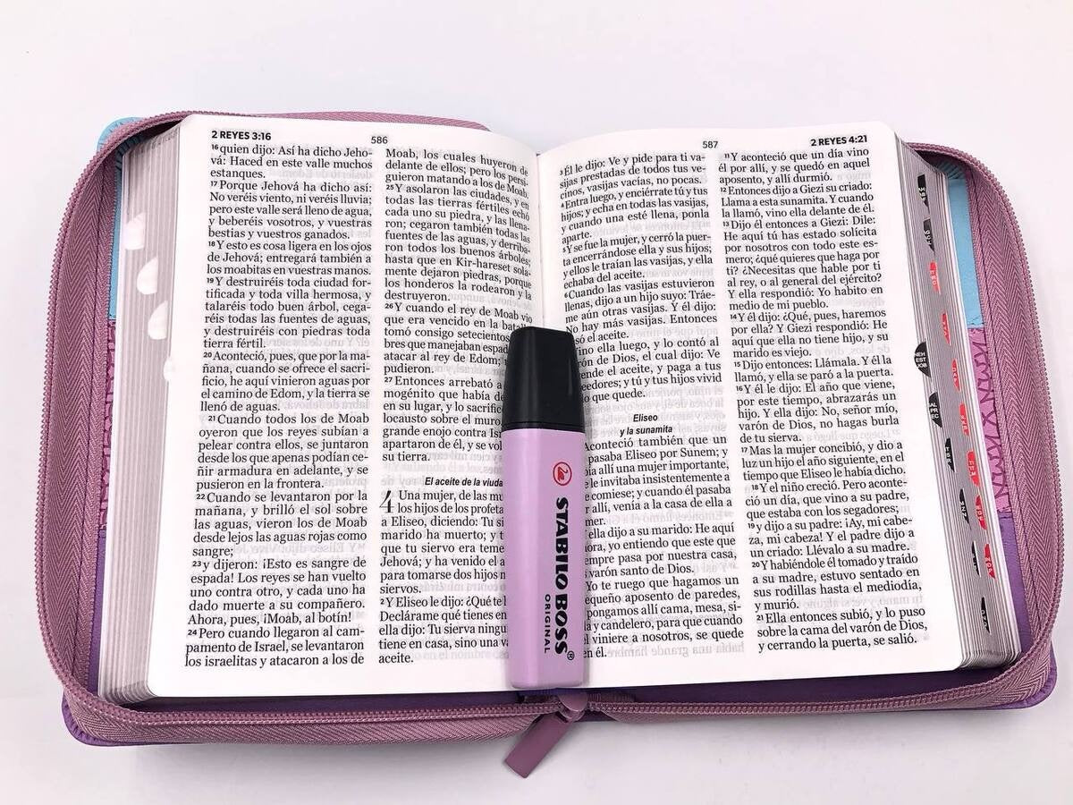 Biblia RVR60 portátil Letra Grande 11 puntos Tricolor Azu