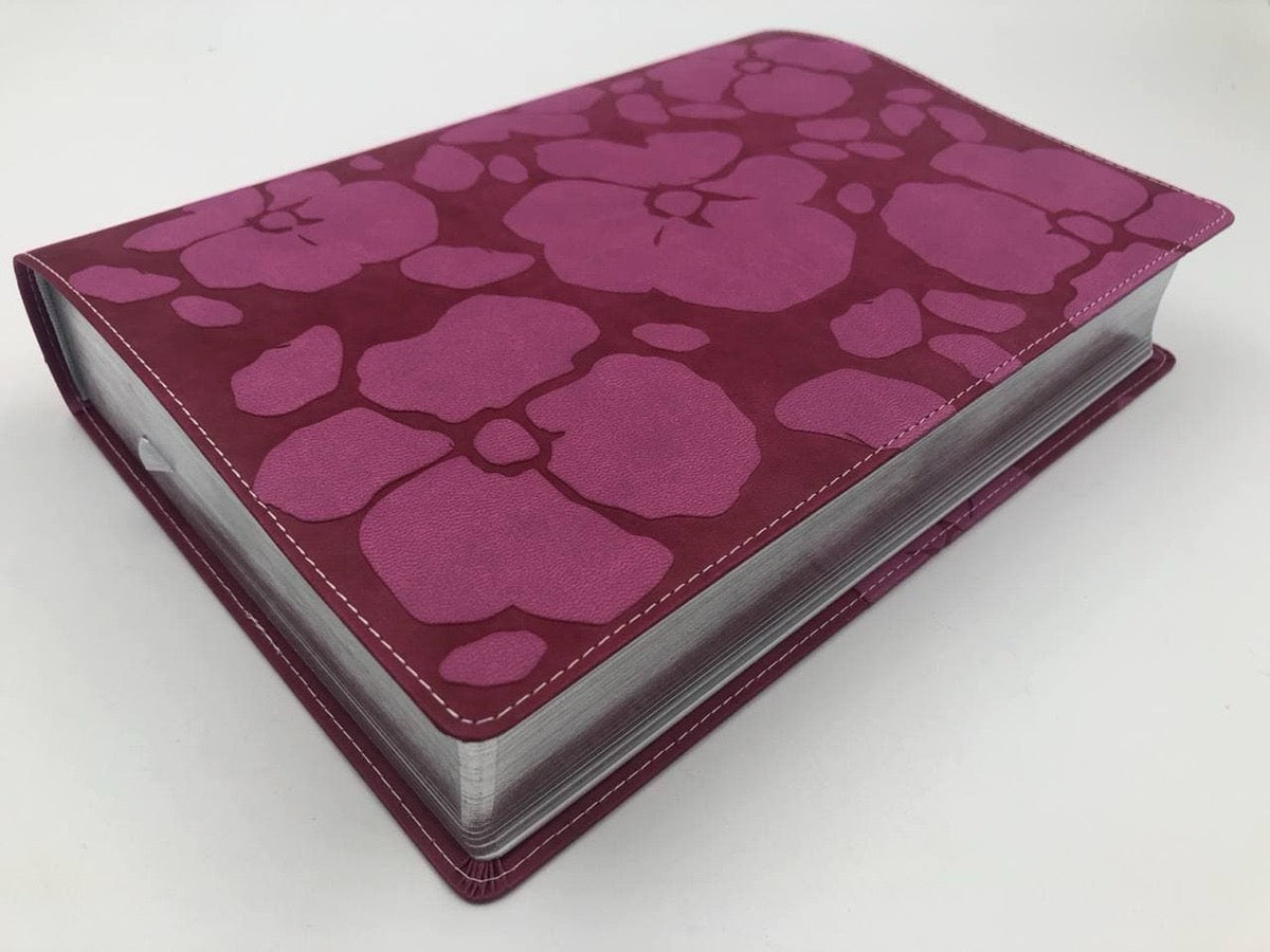 Biblia RVR 1960 de Estudio Thompson rosa piel