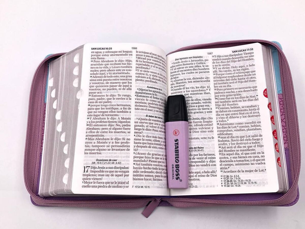 Biblia RVR60 portátil Letra Grande 11 puntos Tricolor Azu