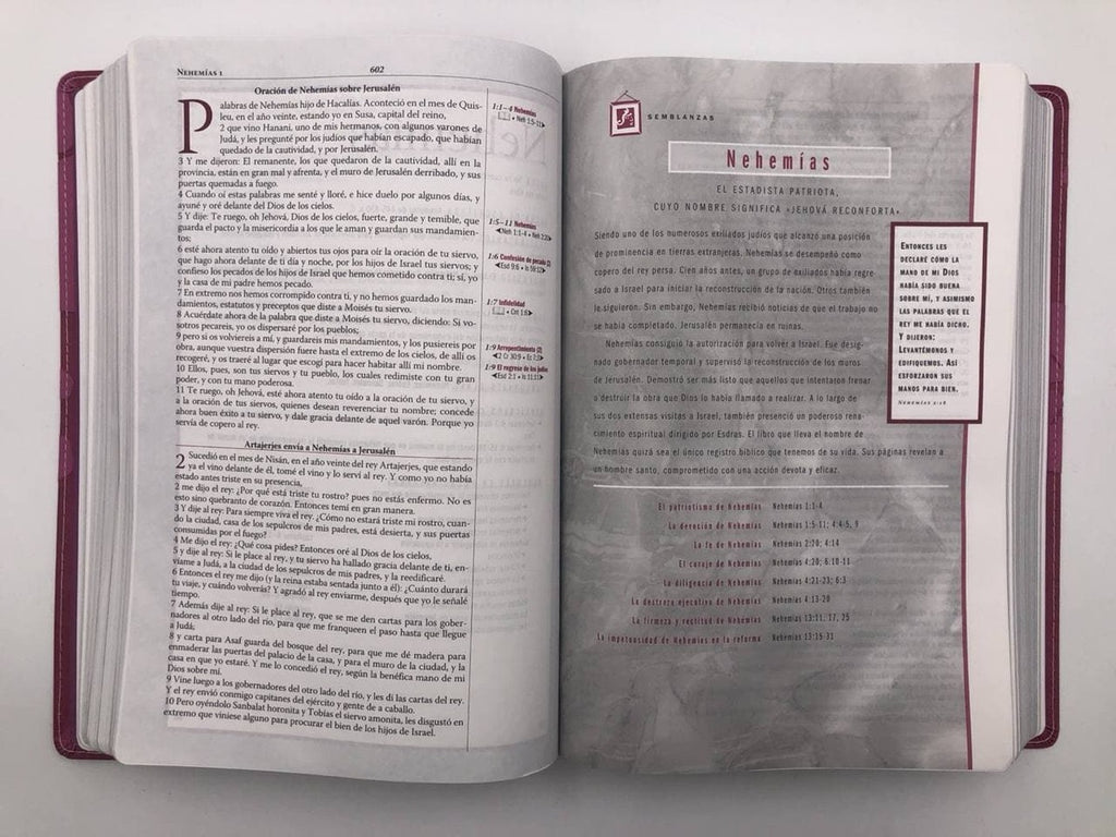 Biblia RVR 1960 de Estudio Thompson rosa piel