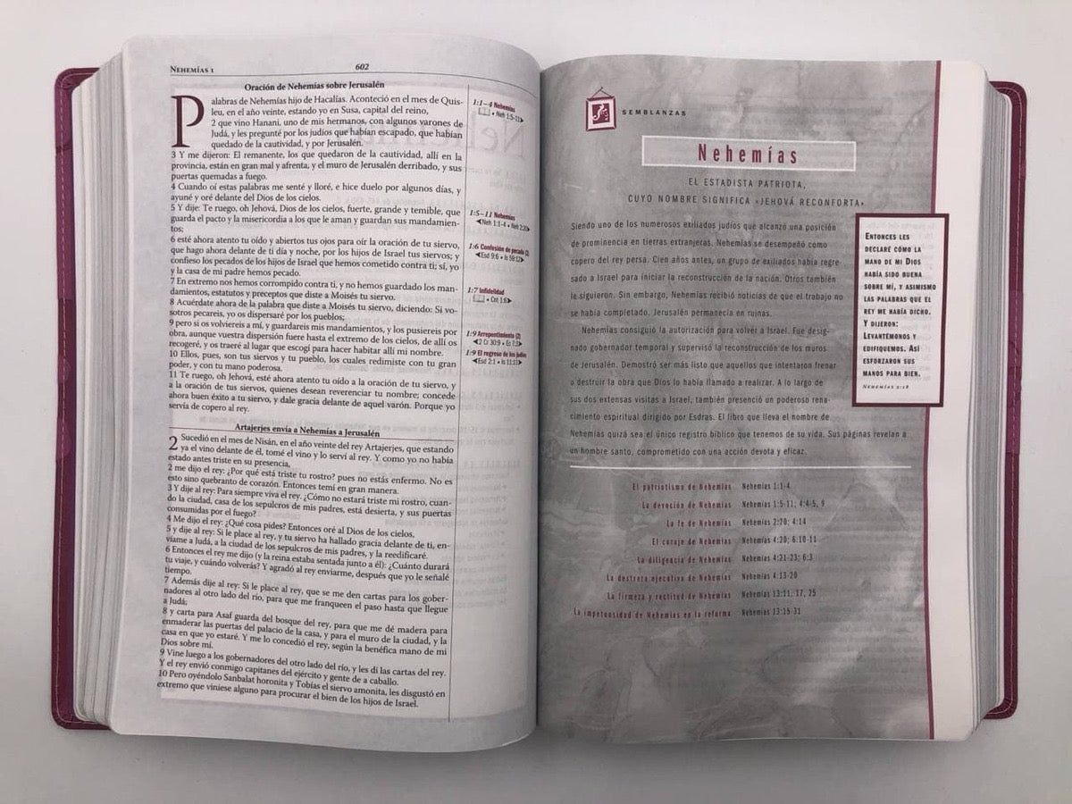 Biblia RVR 1960 de Estudio Thompson rosa piel