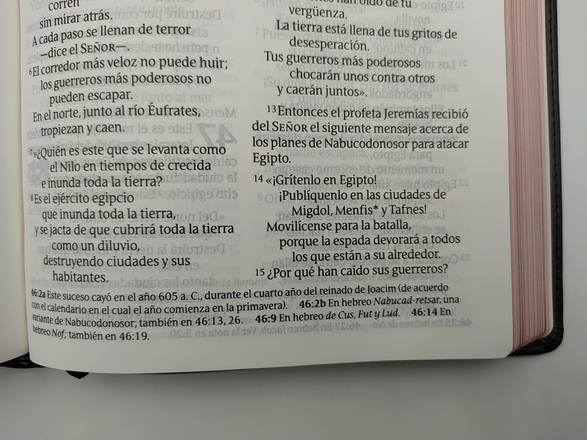 Biblia NTV Clásica Letra Gigante Palabras de Jesús en Rojo Símil Piel Negro