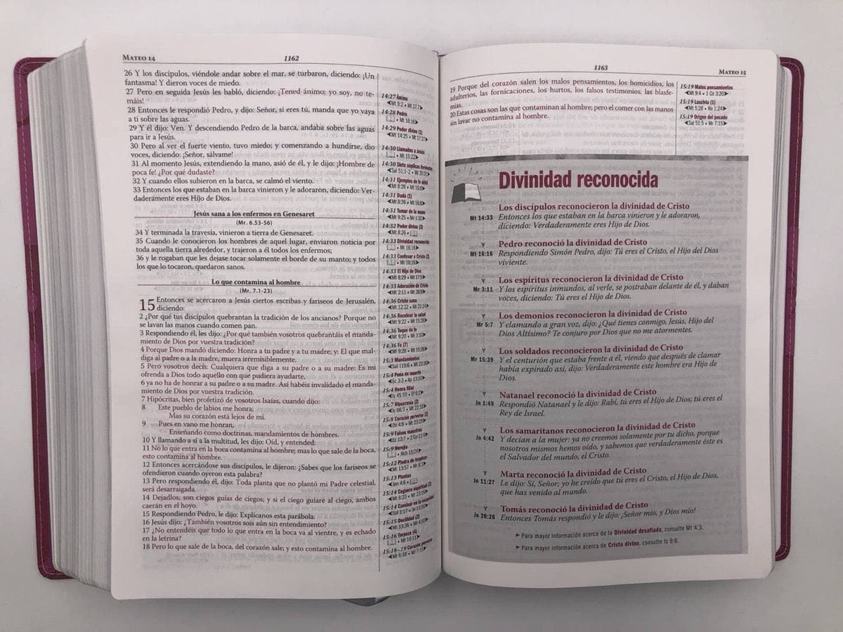 Biblia RVR 1960 de Estudio Thompson rosa piel