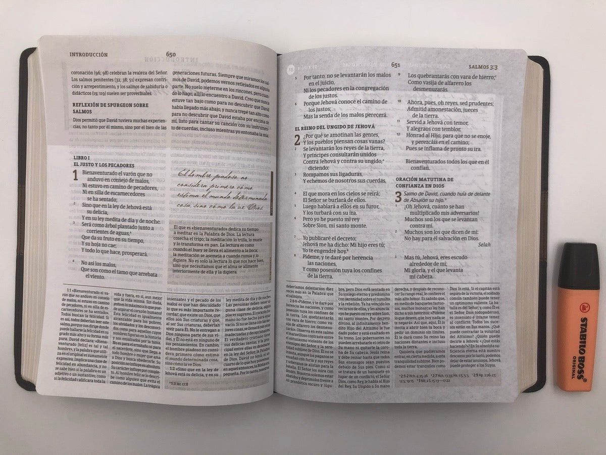 Biblia RVR 1960 de Estudio Spurgeon marrón semi piel