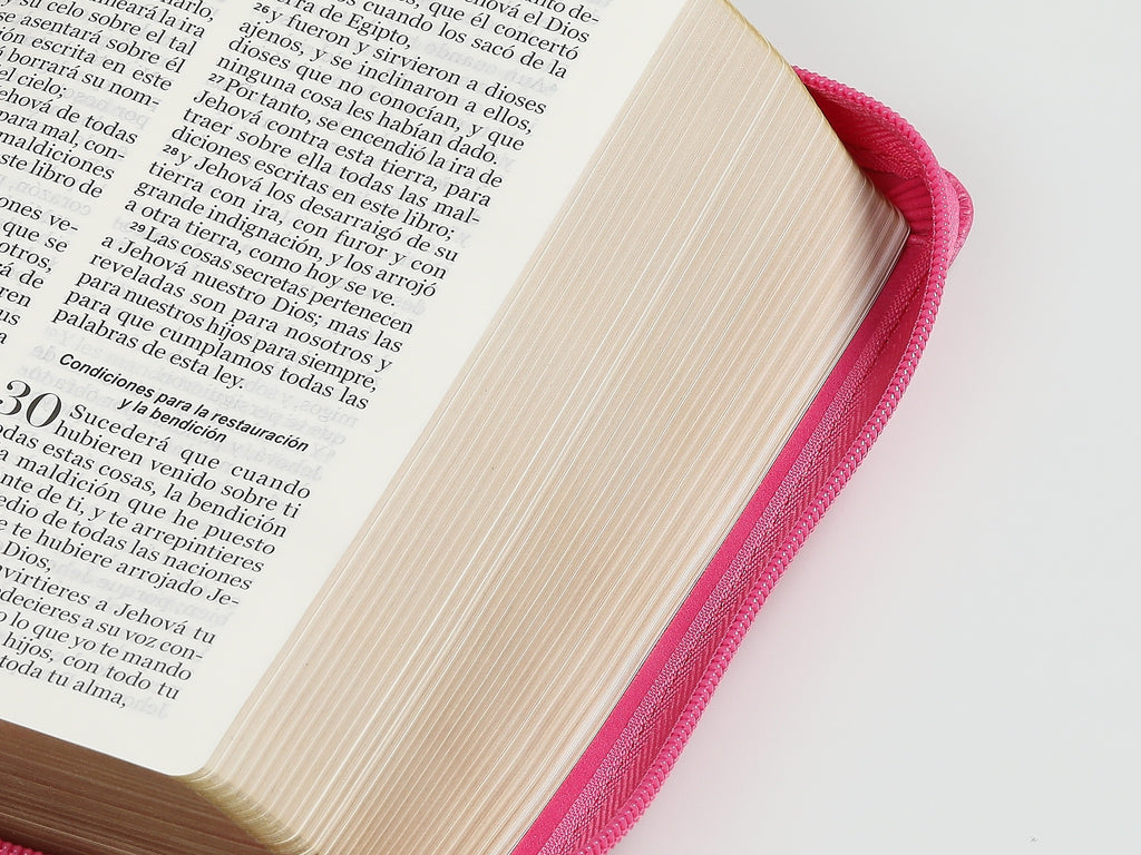 Biblia RVR60 portátil Letra Grande 11 puntos cierre fucsia