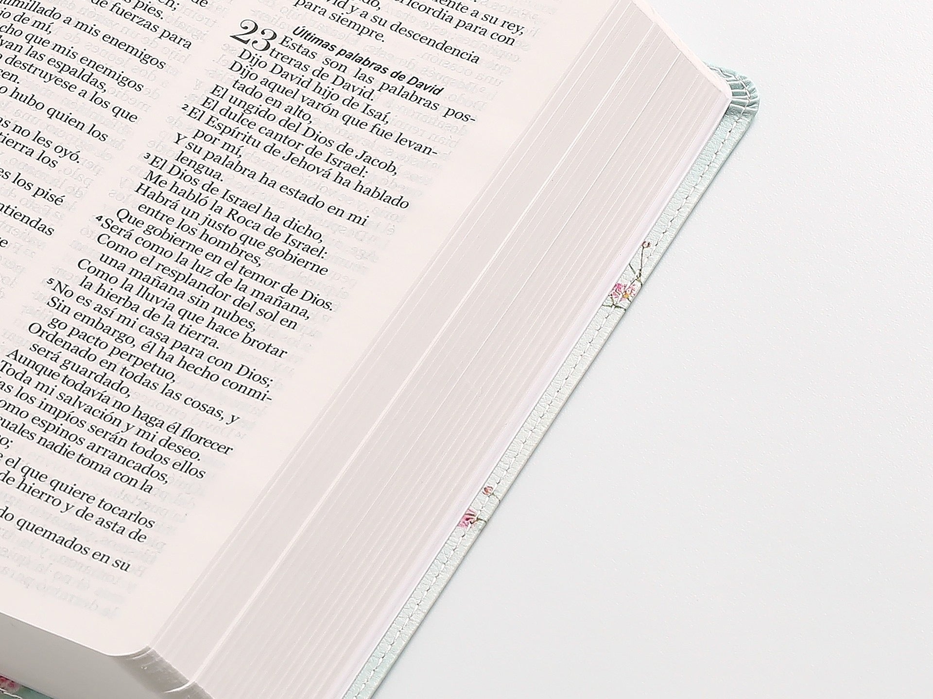 Biblia RVR60 Tamaño manual Letra Grande con flores