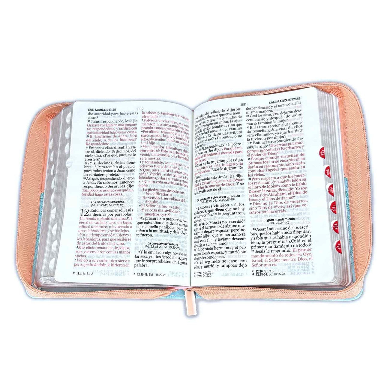 Biblia RVR60 Tamaño Portátil Letra 11 puntos pajaros