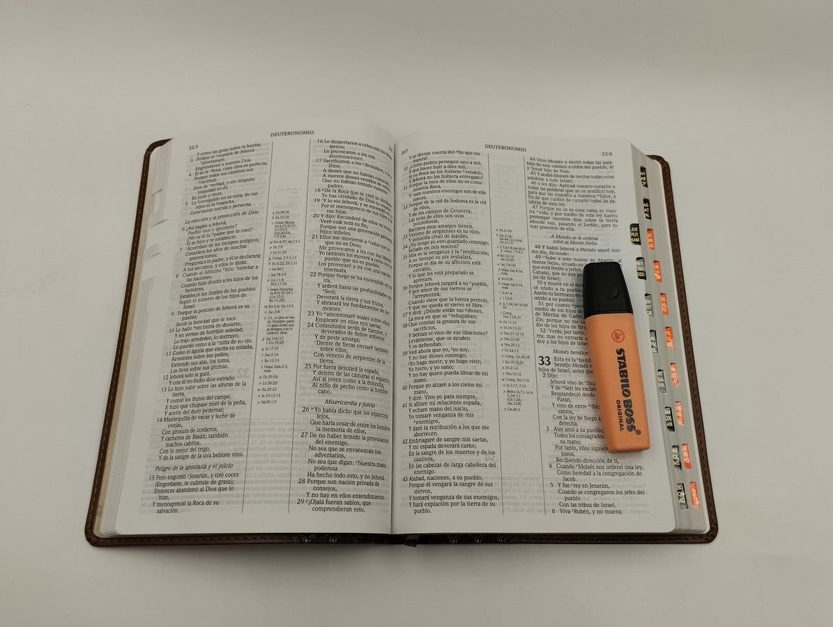 Biblia RVR 1960 de Estudio Scofield Café Símil Piel con Índice