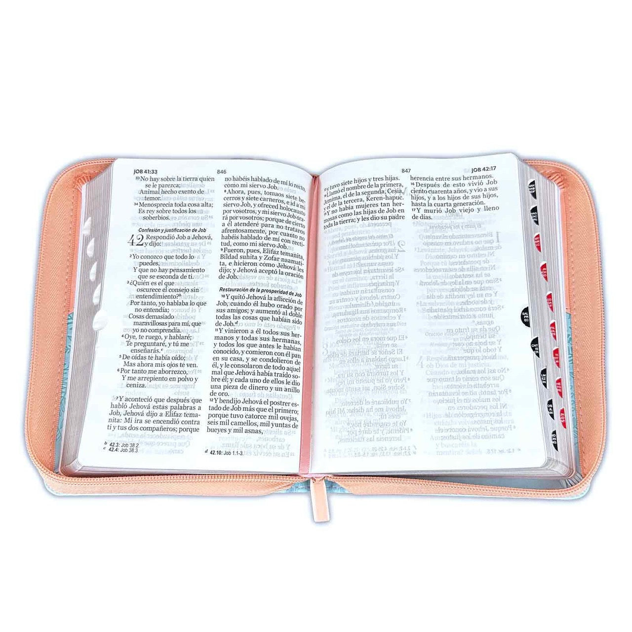 Biblia RVR60 Tamaño Portátil Letra 11 puntos pajaros