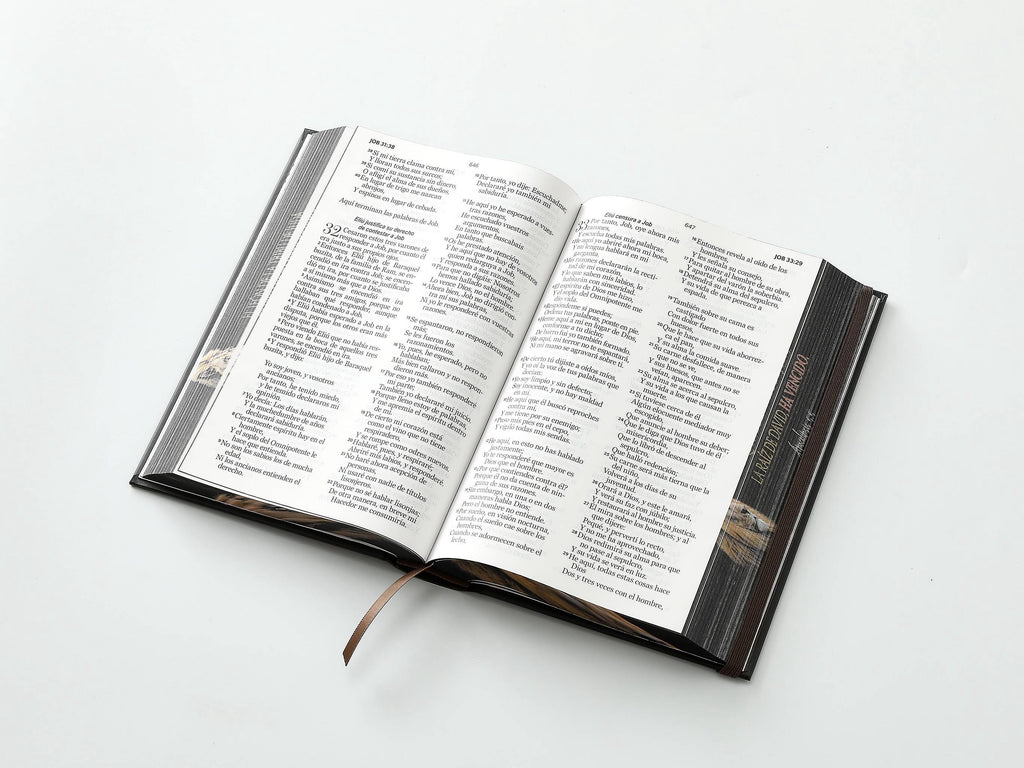 Biblia RVR60 Tamaño manual LEtra GRande TApa dura león