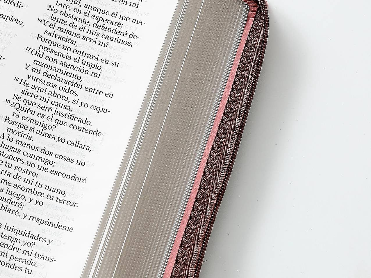 Biblia RVR60 tamaño manual letra Gigante Café rosa