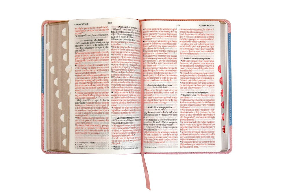 Biblia RVR60 Tamaño Manual Letra Grande azul