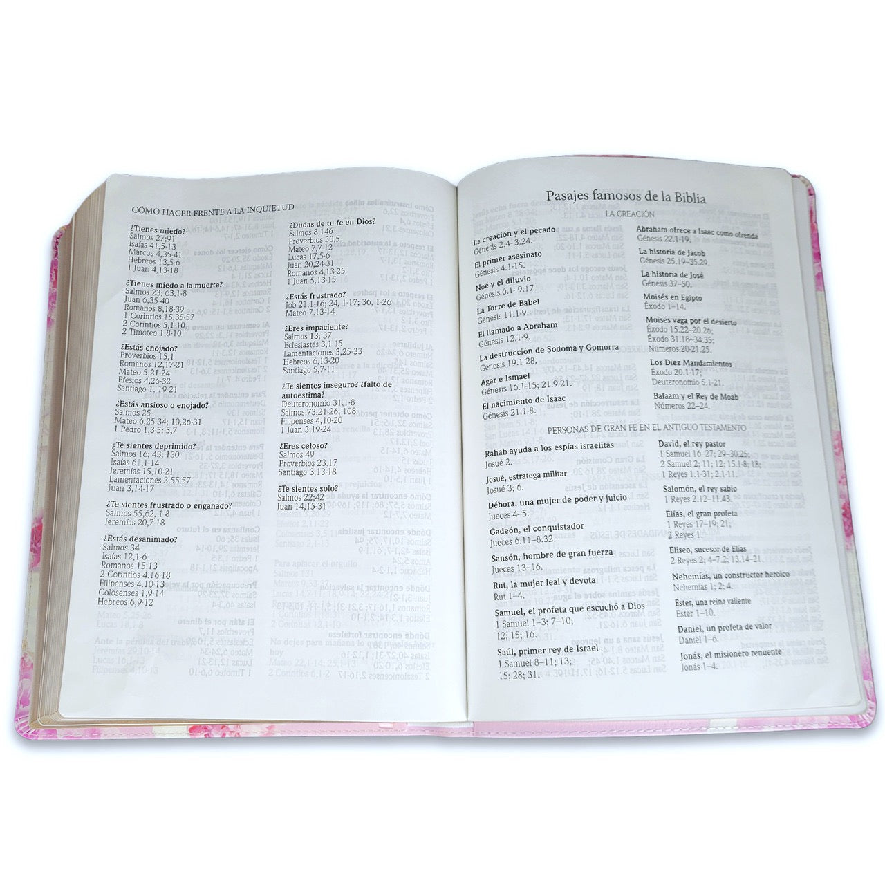 Biblia RVR 1960 Letra Súper Gigante Símil Piel Rosa