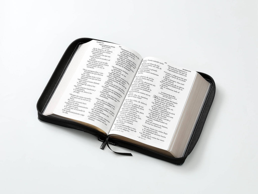 Biblia RVR60 tamaño manual letra Gigante Negro