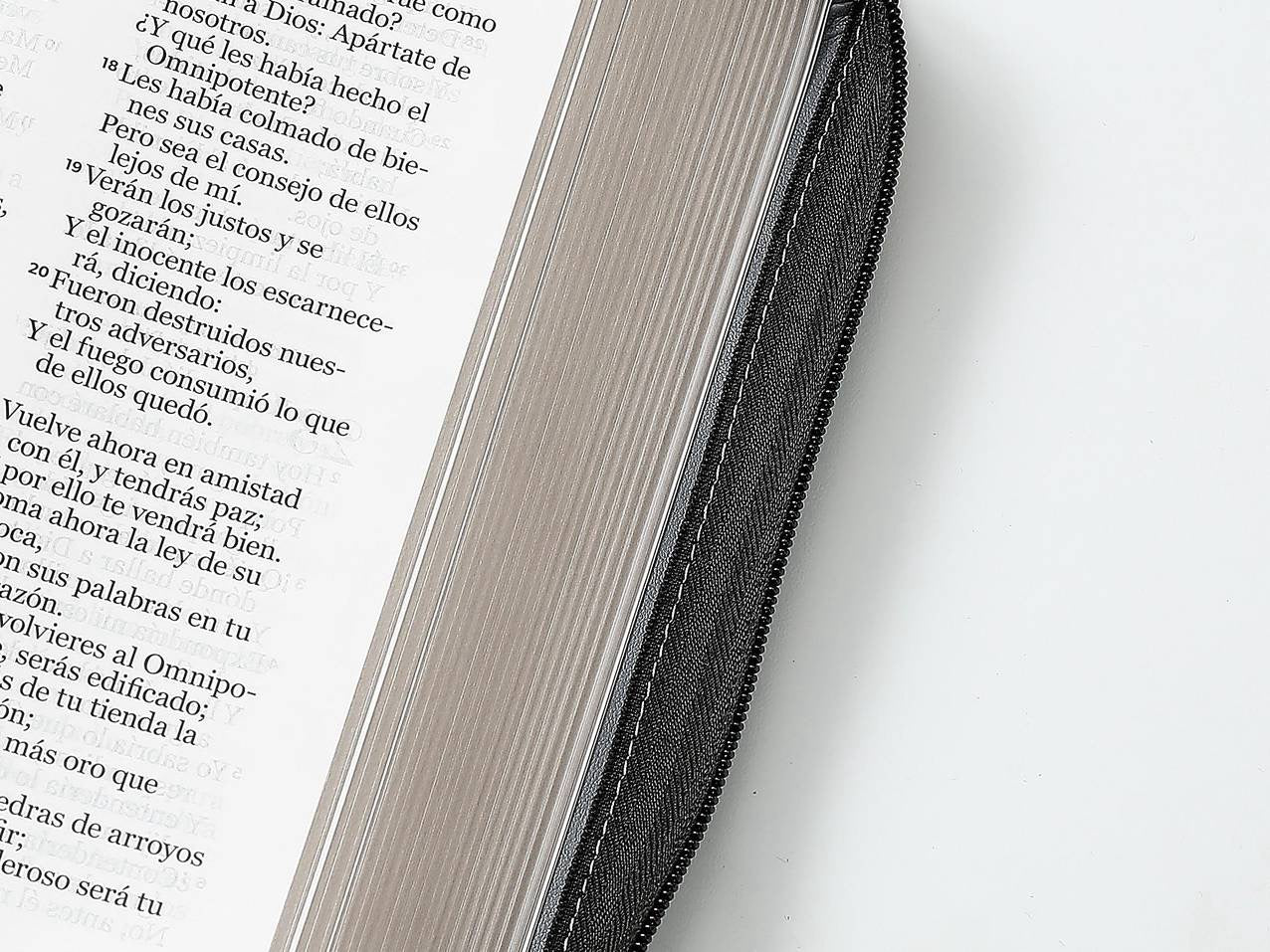 Biblia RVR60 tamaño manual letra Gigante Negro