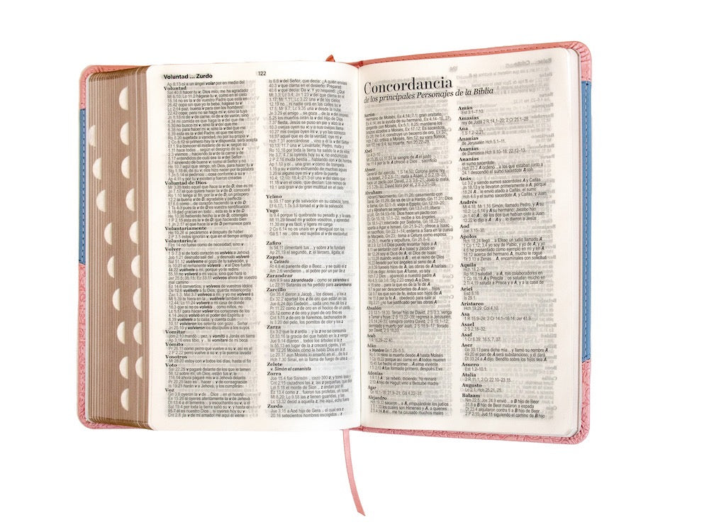Biblia RVR60 Tamaño Manual Letra Grande azul